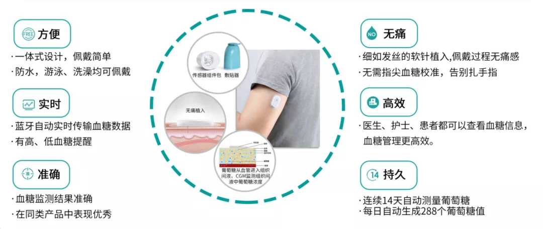 我院内分泌科开展动态血糖监测技术